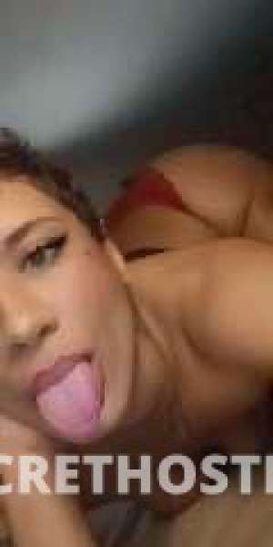 Lexi 26Yrs Old Escort Newport News VA Image - 3