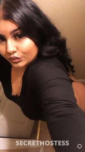 26 year old Latino Escort in San Francisco CA wet thick latina