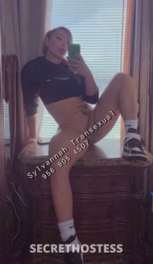 Sylvannah 25Yrs Old Escort McAllen TX Image - 4