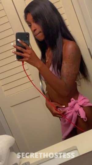 Zoey 23Yrs Old Escort Fort Myers FL Image - 0