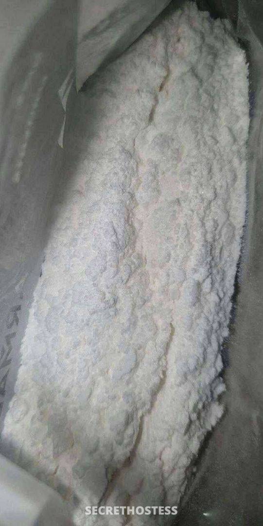 Donna 25Yrs Old Escort Size 8 165CM Tall New Orleans LA Image - 2