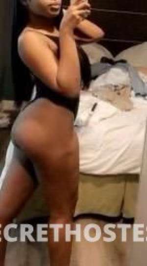 24Yrs Old Escort Bronx NY Image - 2