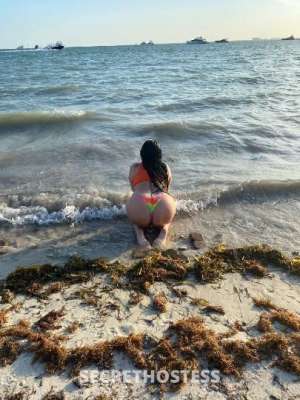 43Yrs Old Escort Fort Myers FL Image - 2