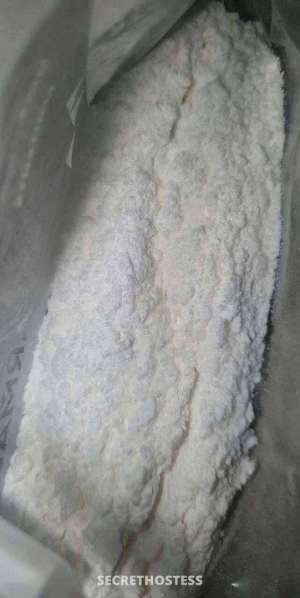 Donna 25Yrs Old Escort Size 8 165CM Tall New Orleans LA Image - 2