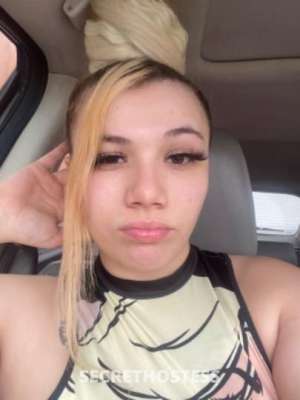 Gingerbigbank 22Yrs Old Escort Sandusky OH Image - 8