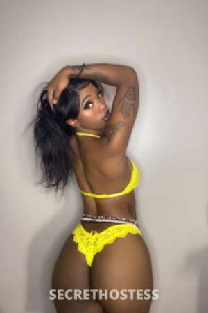 Hazel 24Yrs Old Escort San Fernando Valley CA Image - 0