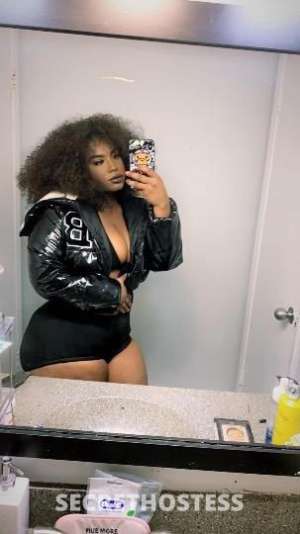 Nyomi 23Yrs Old Escort Corpus Christi TX Image - 5