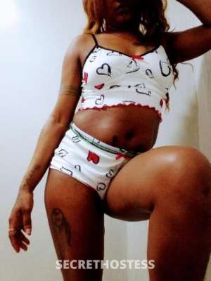 Starr 22Yrs Old Escort Westchester NY Image - 2