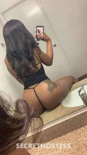 Milli 21Yrs Old Escort 165CM Tall North Bay CA Image - 1