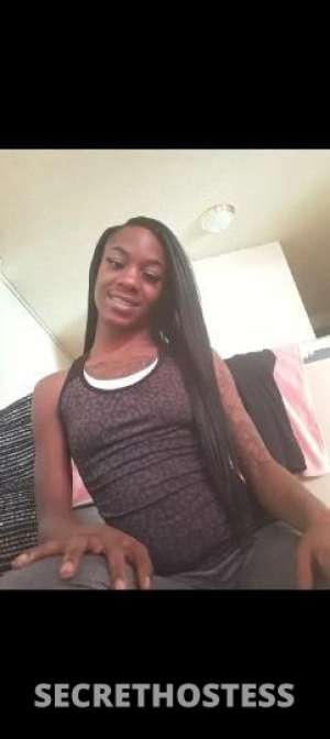 Scar 27Yrs Old Escort Dallas TX Image - 3