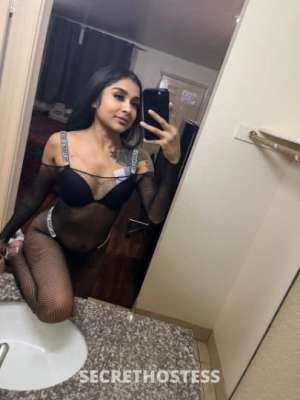 YvonneDior 22Yrs Old Escort Houston TX Image - 9