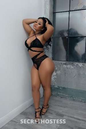 Alani 25Yrs Old Escort Hartford CT Image - 3