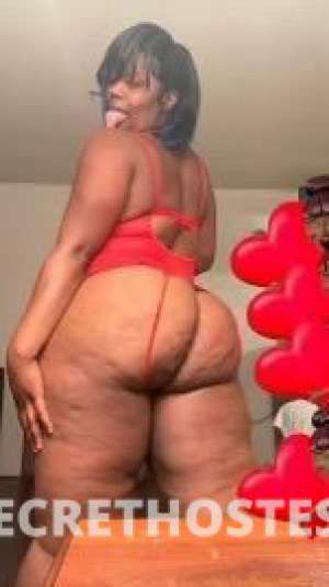 Bigbooty 29Yrs Old Escort Jackson MS Image - 7