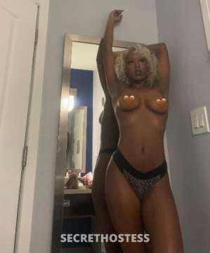 20 Year Old American Escort San Jose CA Blonde - Image 1