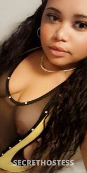 26 year old Escort in West Palm Beach FL pasa un rato agradable sexy brunette hago salidas no juegos 