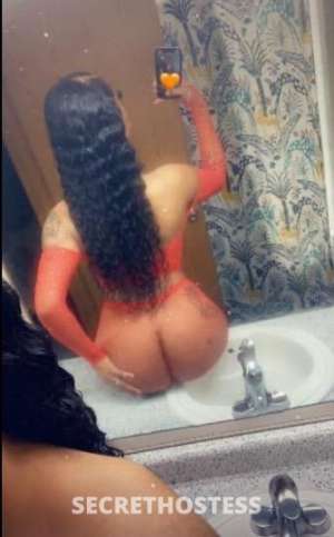 27Yrs Old Escort Dallas TX Image - 3