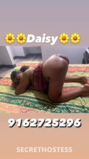 Daisy 29Yrs Old Escort Sacramento CA Image - 1