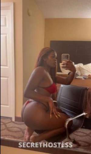 Diamond 27Yrs Old Escort Buffalo NY Image - 3