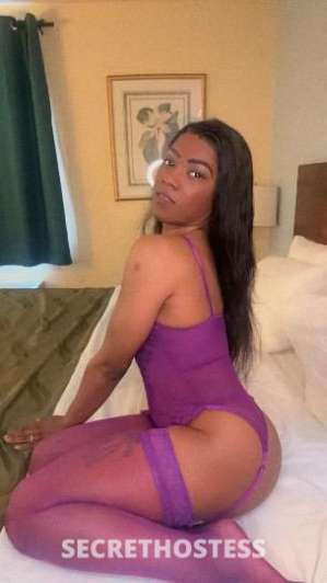 I'm Your Perfect Companion for Classy Gents in Monroe MI