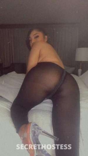 Harmony 24Yrs Old Escort 157CM Tall North Jersey NJ Image - 2