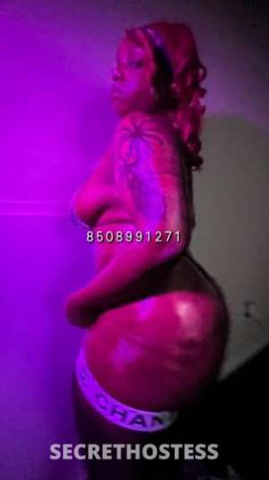 Mocha 24Yrs Old Escort Meridian MS Image - 6