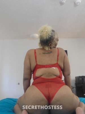 PhatKat 31Yrs Old Escort Washington DC Image - 2