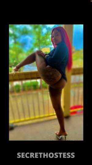 Redd 23Yrs Old Escort New Orleans LA Image - 2