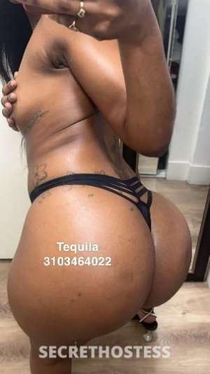 Tequila/MissDesirable 23Yrs Old Escort San Fernando Valley CA Image - 8