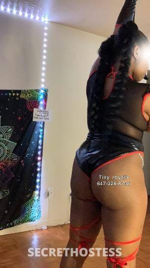 Tiny_royal3 23Yrs Old Escort Size 6 Oshawa Image - 5