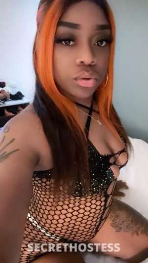 Cece 22Yrs Old Escort Oakland CA Image - 2