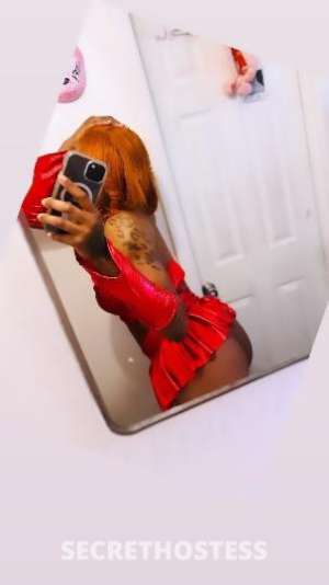 Ciara 23Yrs Old Escort Long Island NY Image - 3