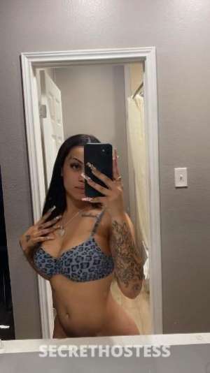 Dream 23Yrs Old Escort Dallas TX Image - 3