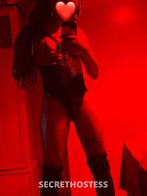 Kitty 24Yrs Old Escort Lansing MI Image - 5