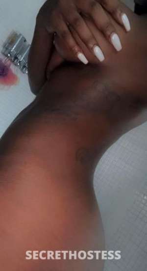 Lola 24Yrs Old Escort Springfield IL Image - 4