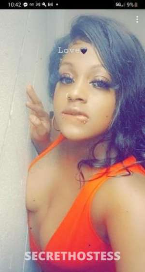 Mocha 26Yrs Old Escort Chattanooga TN Image - 3