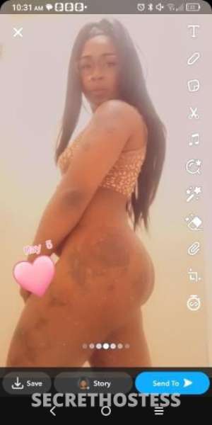 Muffin 27Yrs Old Escort Orlando FL Image - 8