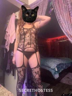 PiperPurrs 33Yrs Old Escort Charlotte NC Image - 5