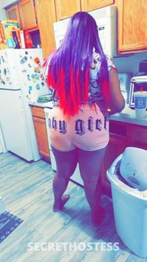Royal 28Yrs Old Escort Chicago IL Image - 5