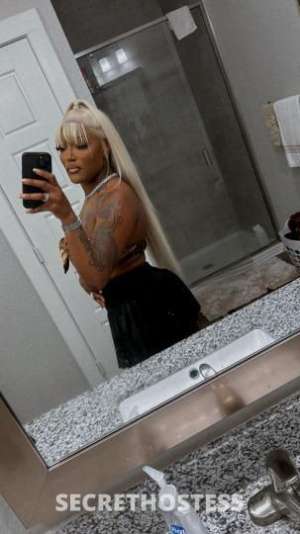 Sexynina 29Yrs Old Escort Tampa FL Image - 2