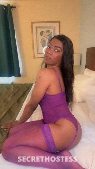 ForeignParis 27Yrs Old Escort Monroe MI Image - 0