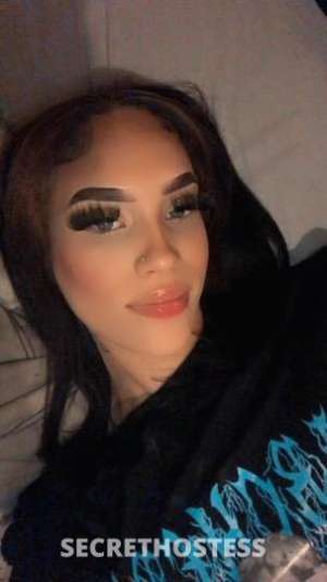 21 year old Escort in North Jersey NJ Hello Gentlemen . . ✦ Fetish Friendly Blowjob .. 69 .. Cum