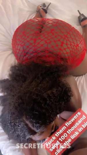 Chocolateebunni 25Yrs Old Escort Mobile AL Image - 6