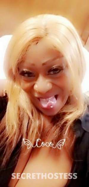 Coko 40Yrs Old Escort San Gabriel Valley CA Image - 7