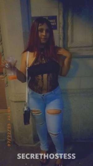 Goddess 21Yrs Old Escort Bronx NY Image - 6