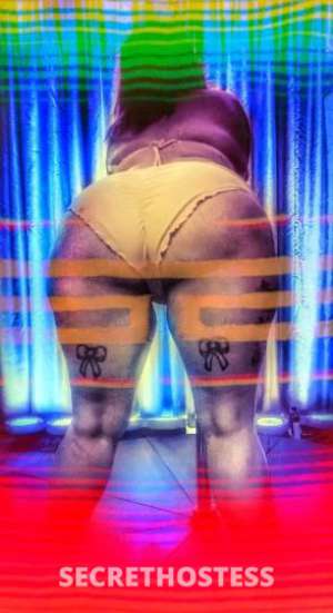 HarleyJames 26Yrs Old Escort Tucson AZ Image - 3