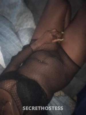 Honey 26Yrs Old Escort Staten Island NY Image - 2