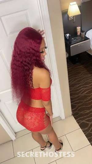 Nuski 20Yrs Old Escort Oakland CA Image - 1