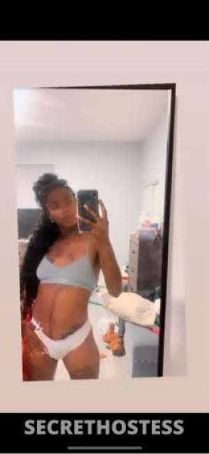 Star 24Yrs Old Escort Northern Virginia DC Image - 1