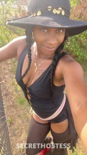 TerrinStephens 26Yrs Old Escort Port Huron MI Image - 6