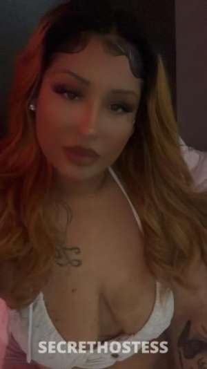 24 year old Latino Escort in San Jose CA Looking for Fun? I'm here Call Now